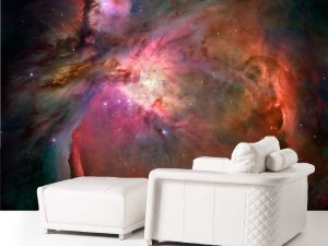 Orion Nebula 12' x 9' (3,66m x 2,75m)