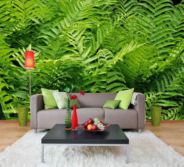 Ferns 12' x 8' (3,66m x 2,44m)