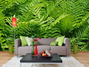 Ferns 12' x 8' (3,66m x 2,44m)