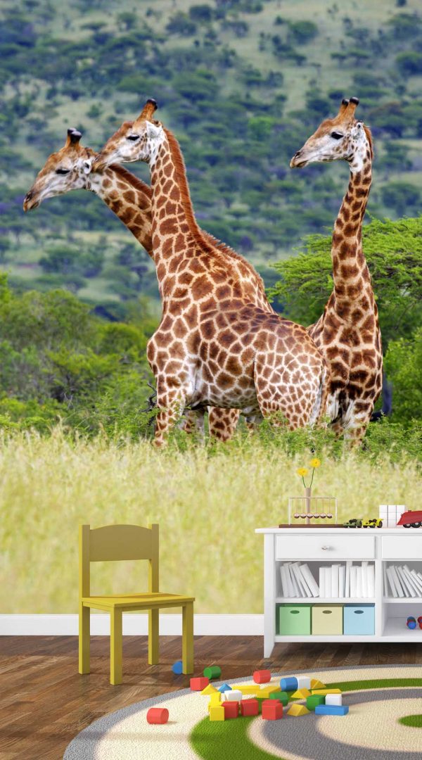 Giraffes 6' x 8' (1,83m x 2,44m)