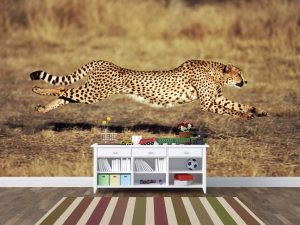 Cheetah Running 12' x 8' (3,66m x 2,44m)