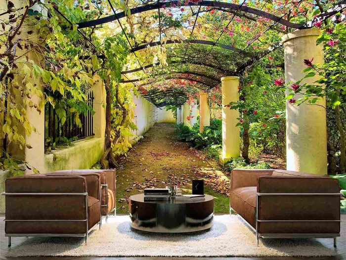 Garden in Western Cape, South Africa 12' x 8' (3,66m x 2,44m)