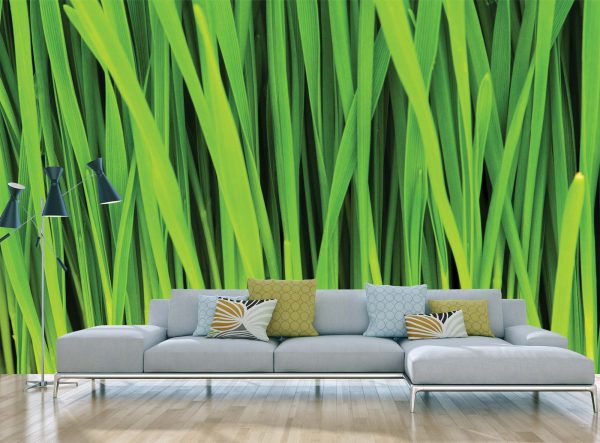 Grass 12' x 8' (3,66m x 2,44m)