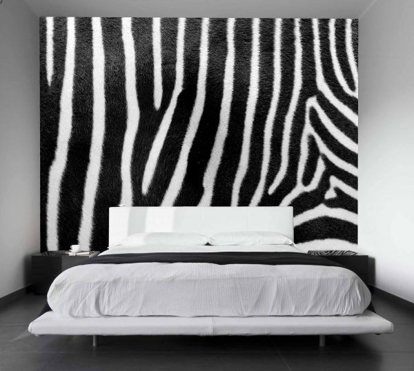 Zebra Skin 10.5' x 8' (3,20m x 2,44m)