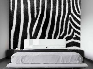 Zebra Skin 10.5' x 8' (3,20m x 2,44m)