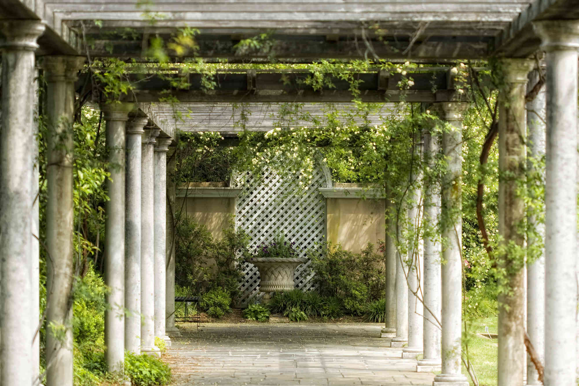 Wallpaper Mural Pergola | Muralunique