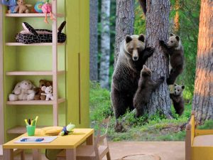 Bears & Company 6' x 9' (1,83m x 2,75m)