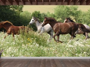 Herd of Running Horses 16.5' x 8' (5,03m x 2,44m)