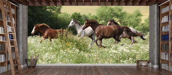 Herd of Running Horses 16.5' x 8' (5,03m x 2,44m)