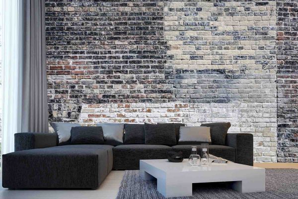 Old Multi Colored Brick Wall 12' x 8' (3,66m x 2,44m)