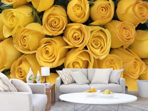 Yellow Roses 12' x 8' (3,66m x 2,44m)