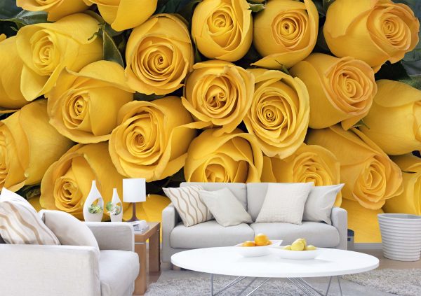 Yellow Roses 12' x 8' (3,66m x 2,44m)