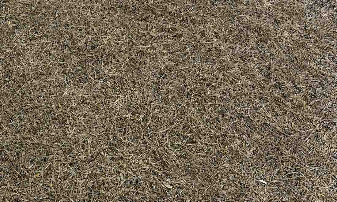 wallpaper-mural-pine-needles-muralunique