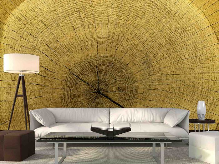 Centenary Tree Trunk 12' x 8' (3,66m x 2,44m)