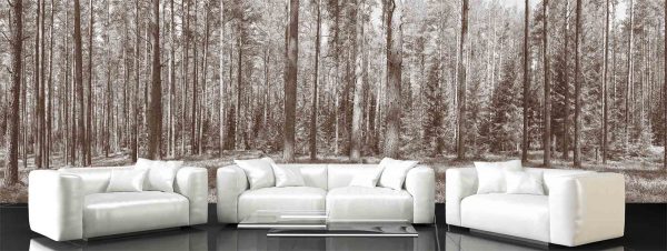 Wallpaper Mural Panoramic Fir Forest Sepia Muralunique