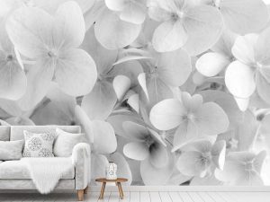 Hydrangea Flowers (Black and White) 12' x 8' (3,66m x 2,44m)