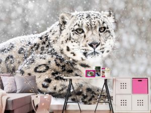 Snow Leopard 10.5' x 8' (3,20m x 2,44m)