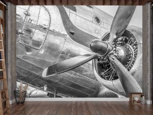 Vintage Douglas DC3 Airplane in Black and White 10.5' x 8' (3,20m x 2,44m)