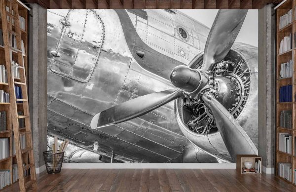 Vintage Douglas DC3 Airplane in Black and White 10.5' x 8' (3,20m x 2,44m)