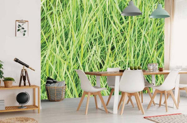 Green Reeds 12' x 8' (3,66m x 2,44m)