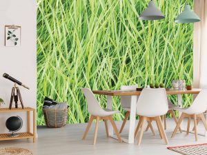 Green Reeds 12' x 8' (3,66m x 2,44m)