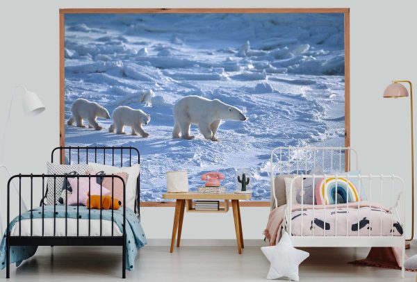 Polar Bears 7.5' x 5' (2,29m x 1,52m)