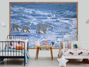 Polar Bears 7.5' x 5' (2,29m x 1,52m)