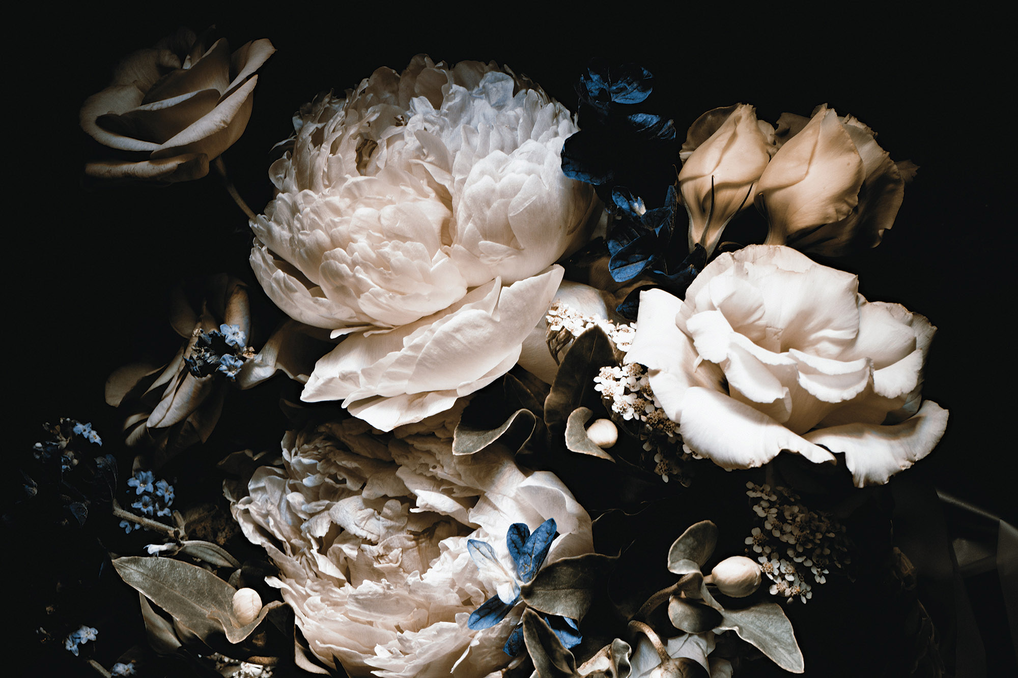 Wallpaper Mural Bouquet of Roses and Peonies | Muralunique Wallpaper Mural Bouquet of Roses and Peonies | Muralunique