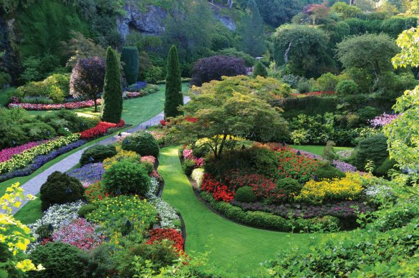 1142_v_the butchart garden