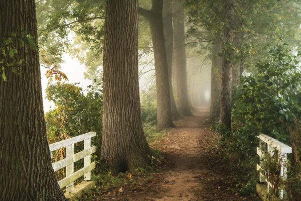 Sentier vers le Brouillard