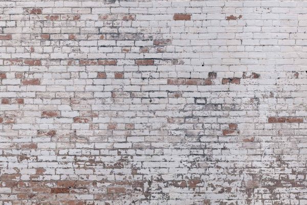1784_v_good old brick wall