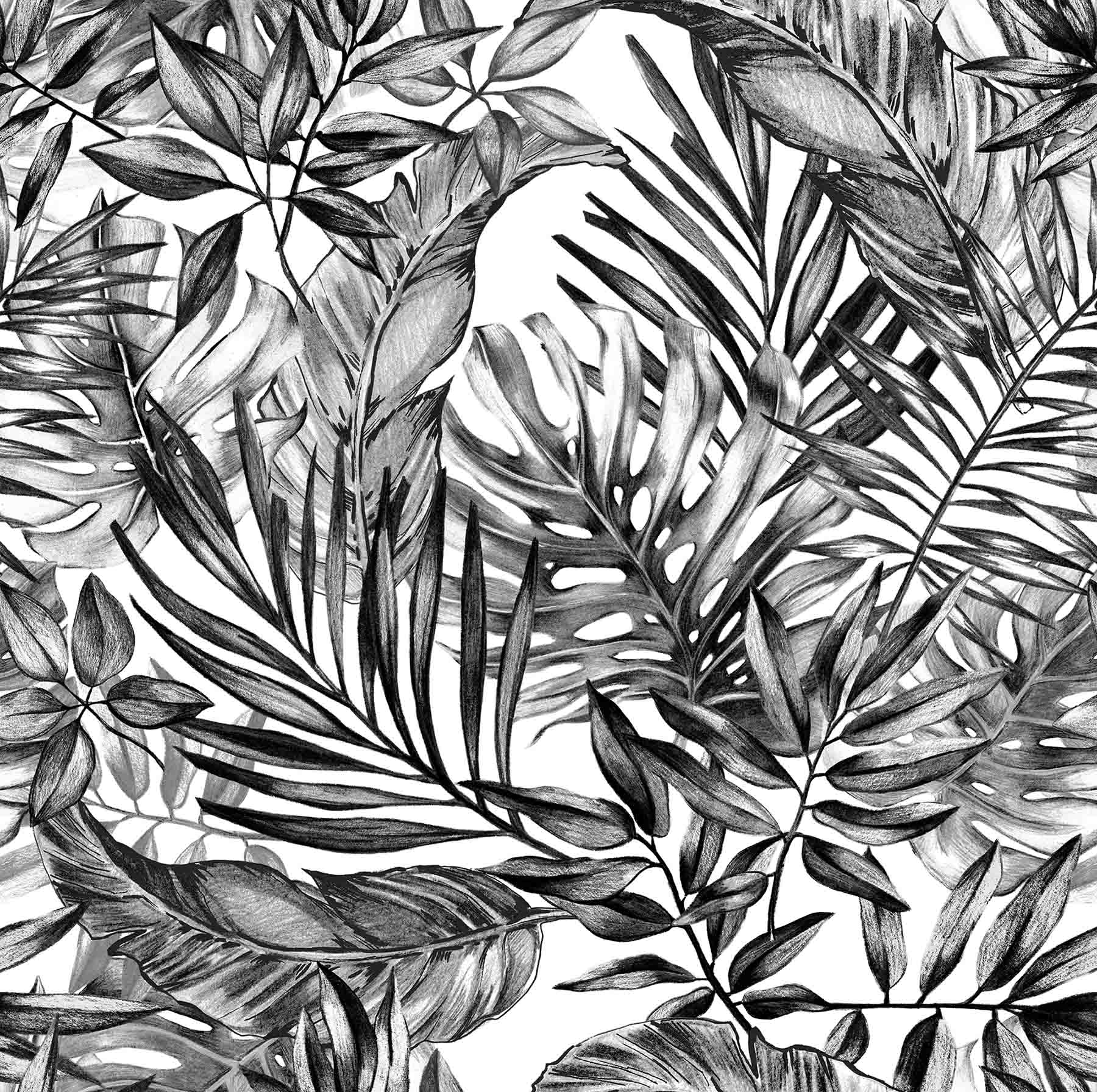 Wallpaper Mural Tropical Plants In Black And White Muralunique