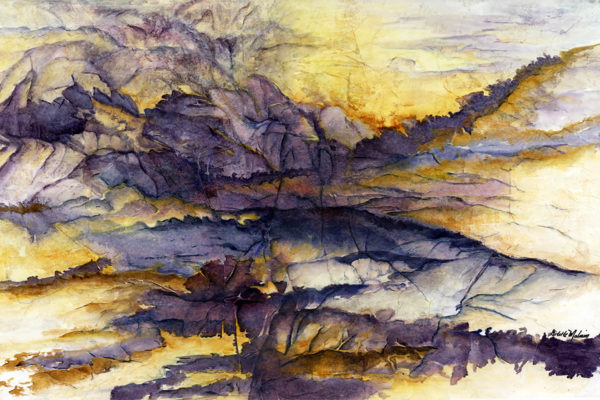 The Ravine