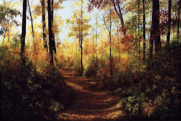 Gleams of Autumn