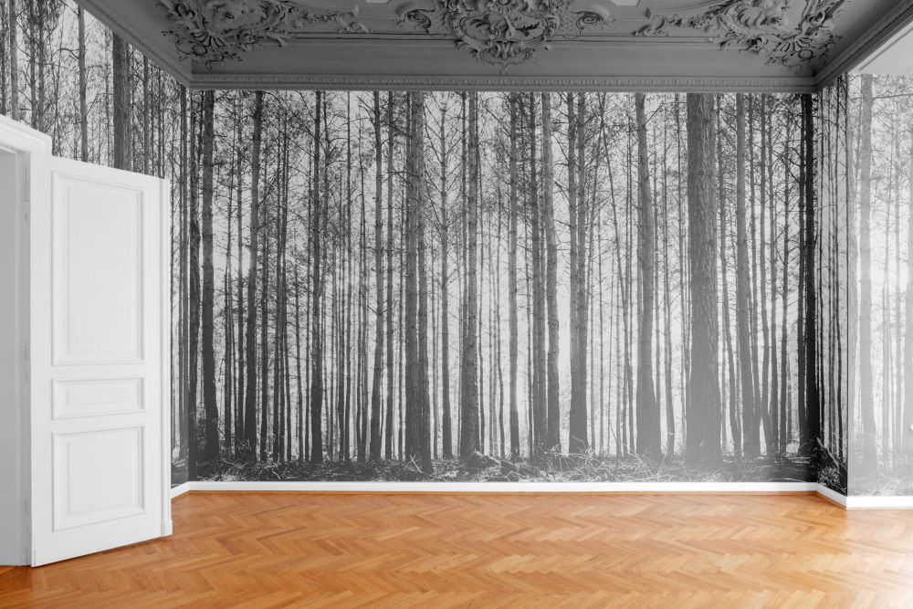 7-atouts-connaitre-murales-papier-peint