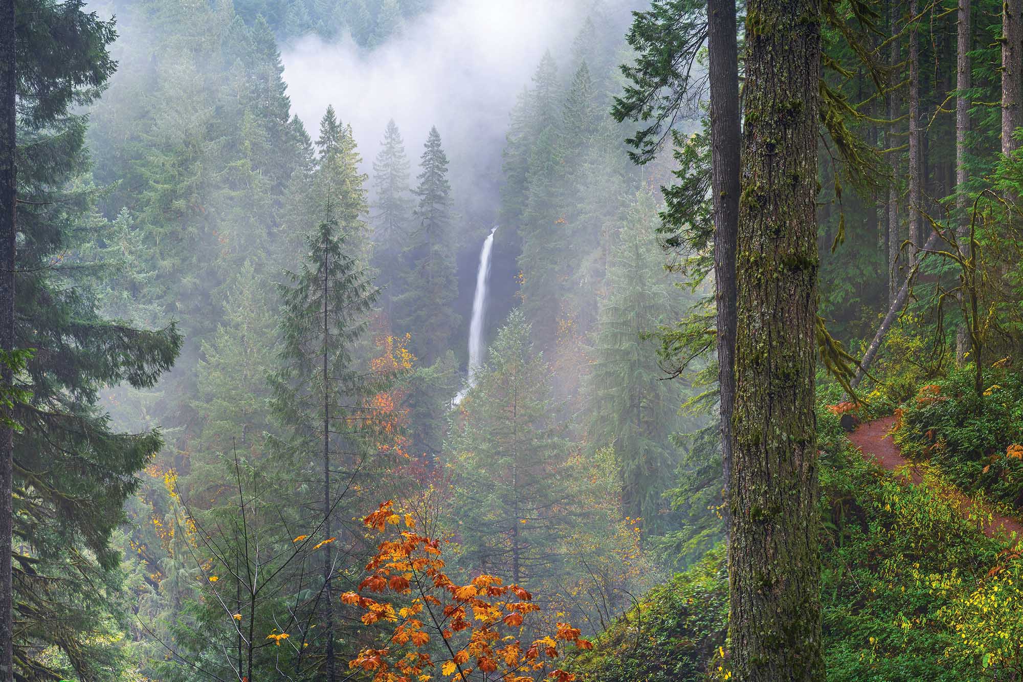 Portland, Oregon iPhone Wallpaper | Nature Stock Photos ~ Creative Market