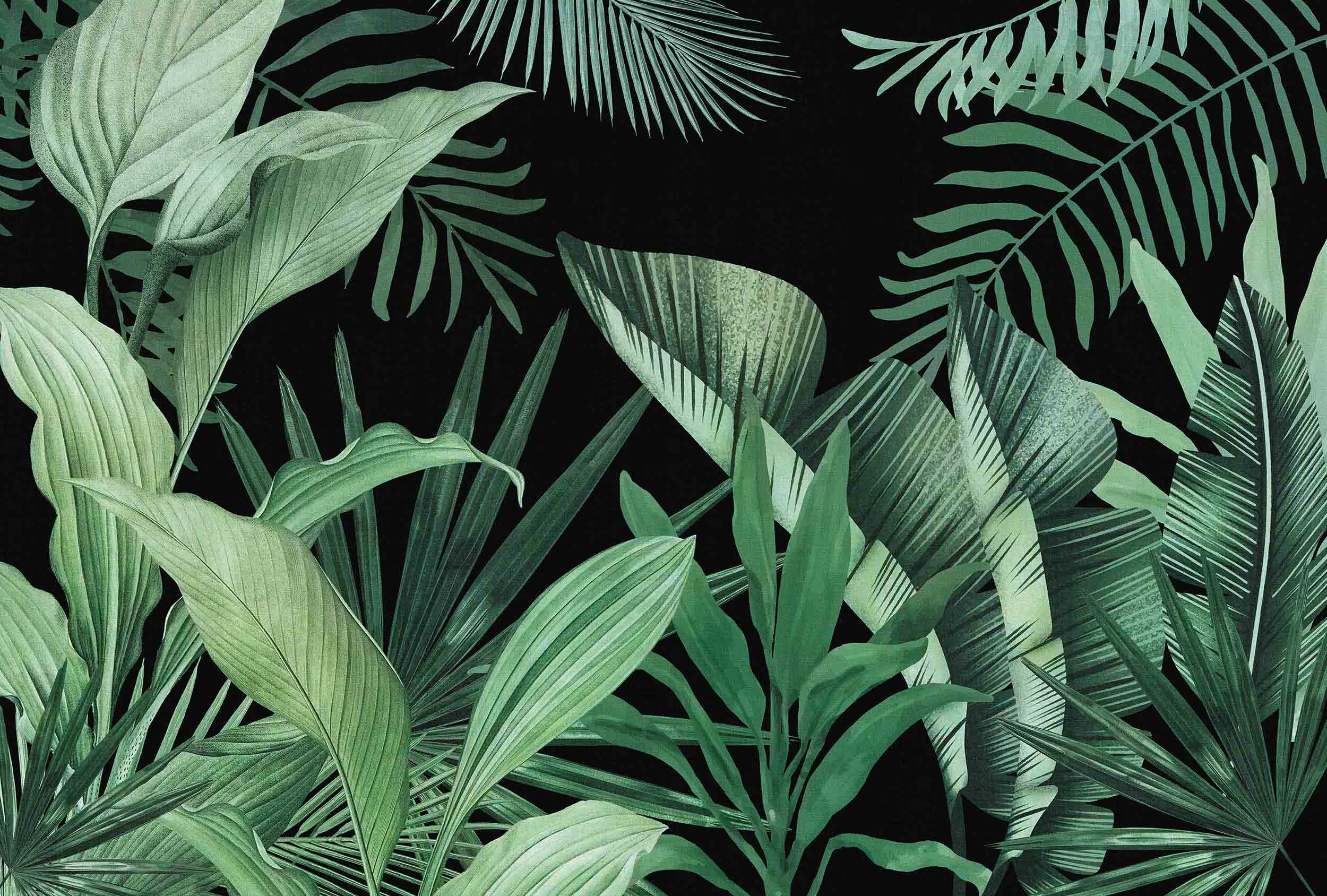 Wallpaper Mural Green Tropical Leaves on Black Background (Canvas Texture)  | Muralunique
