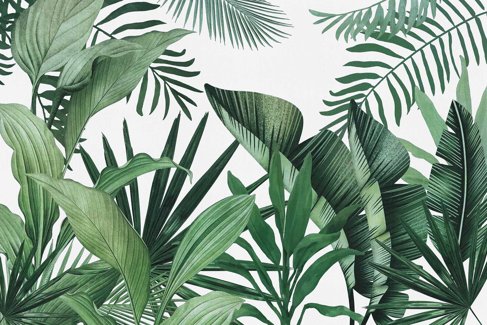 Wallpaper Mural Green Tropical Leaves on White Background (Canvas Texture)  | Muralunique