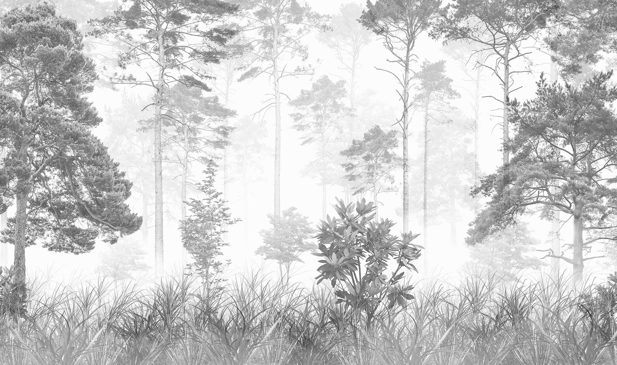 Wallpaper Mural Foggy Forest in Black and White with Canvas Texture |  Muralunique