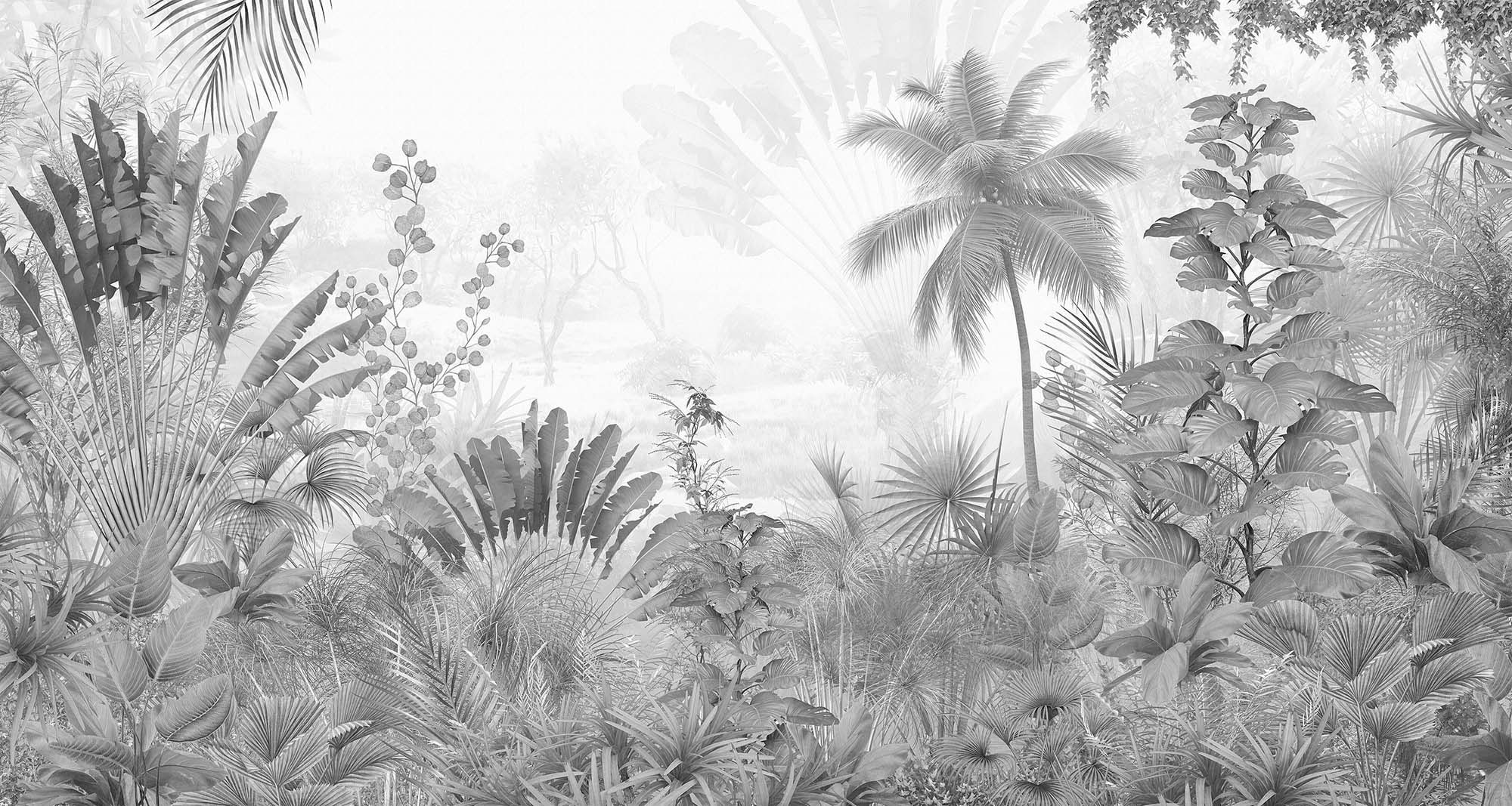 Jungle Black And White