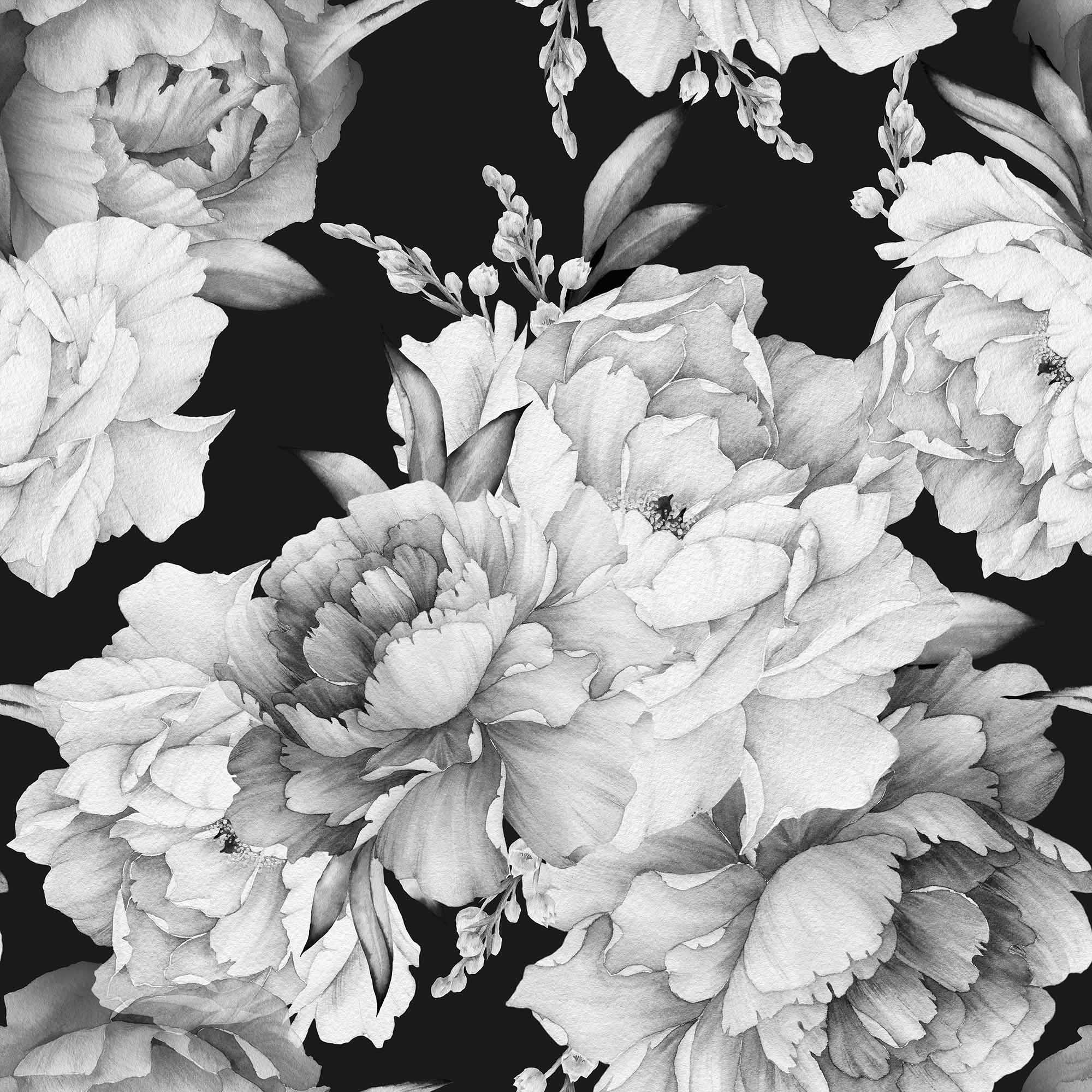 Wallpaper Mural Watercolor Peonies in Black and White Black Background   Muralunique