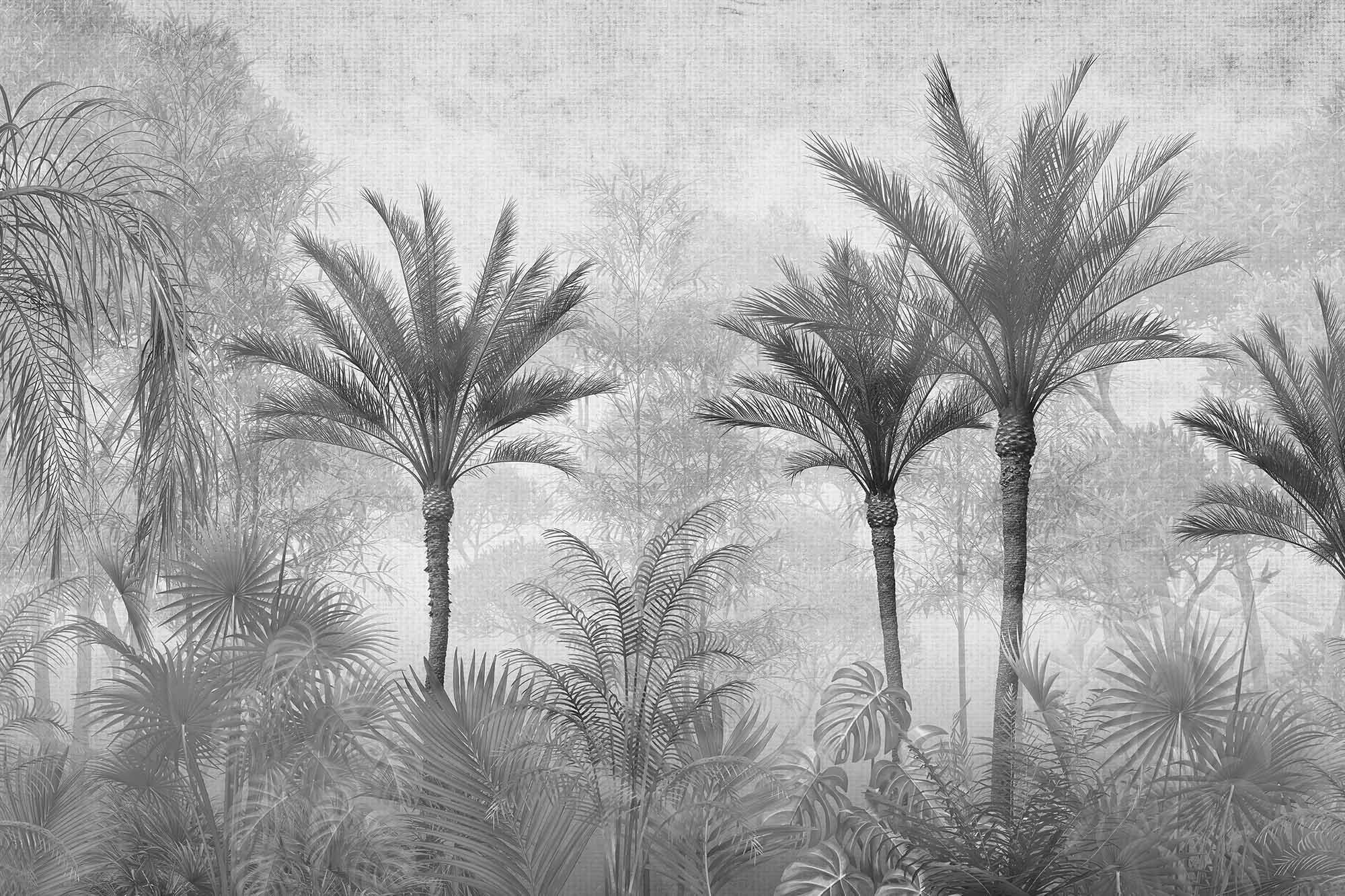 Palm Trees Wallpaper Black And White