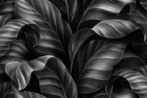 canna leaves dark mural