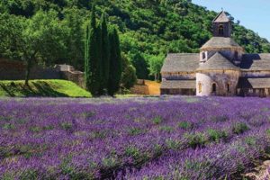 french country wall mural