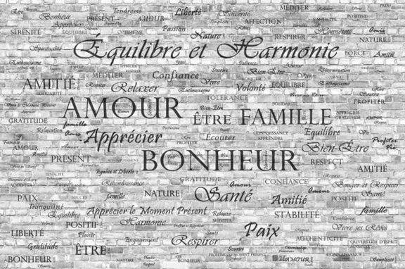 french words wall mural