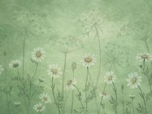 Marguerites Éblouissantes – Vert