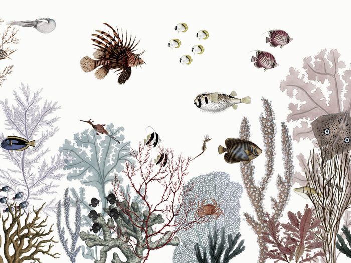 Roaring Reef – White