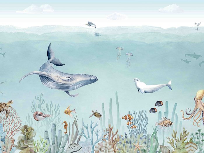 Secret Sealife