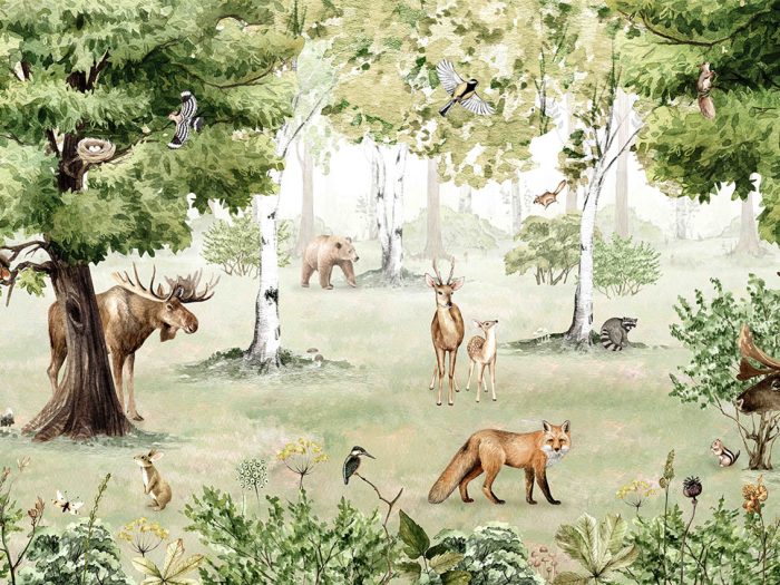 Woodland Wonders