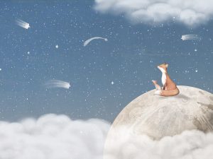 Fox on the Moon – Blue